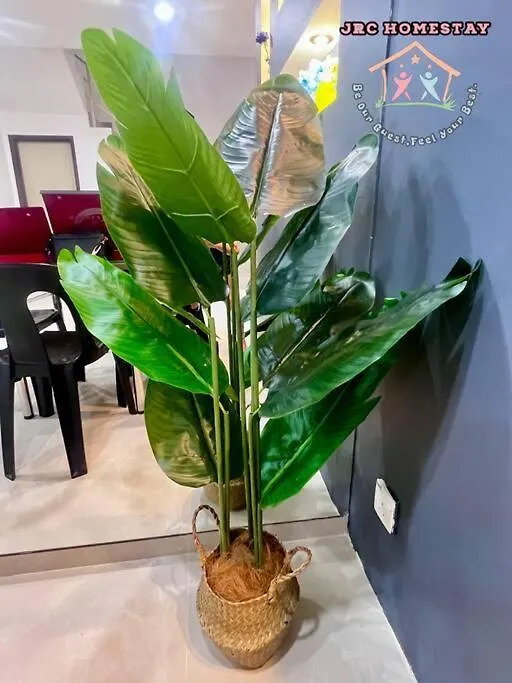 Jrc Homestay Ej 23 Johor Bahru